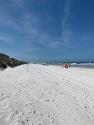 the beach